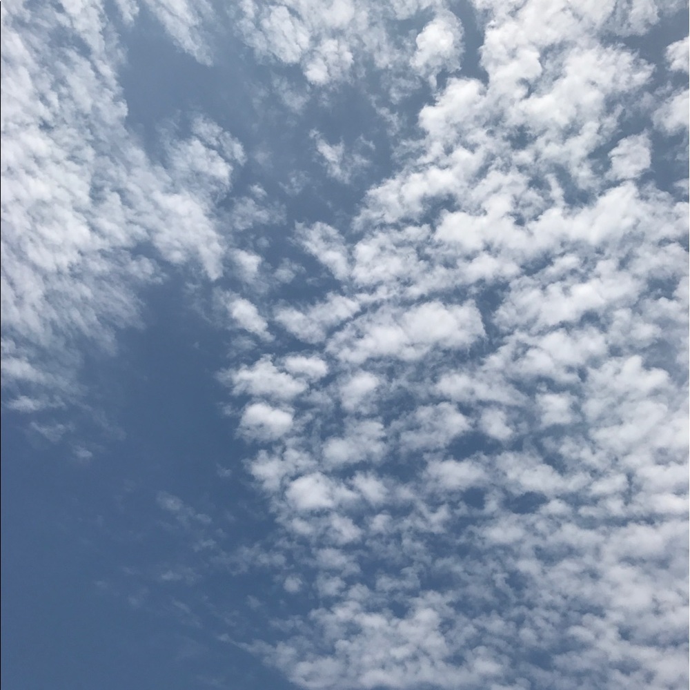 Meet your Posher, Kora