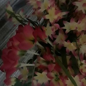 Meet your Posher, Rosalee