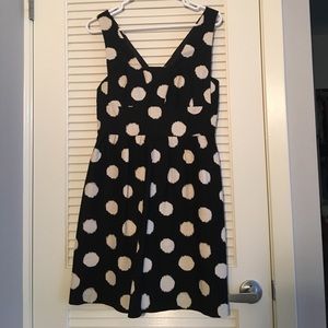 NWT Loft polka dot dress!