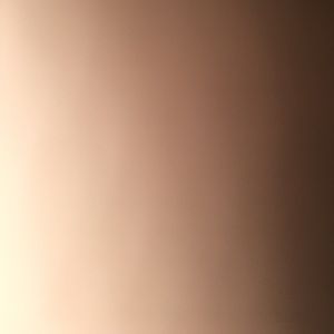 Meet your Posher, Bryant