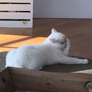 Meet your Posher, Gabby