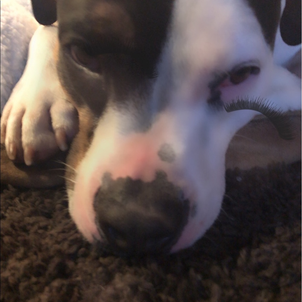 Meet your Posher, Kristi