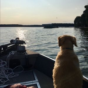 Meet your Posher, Sondrea