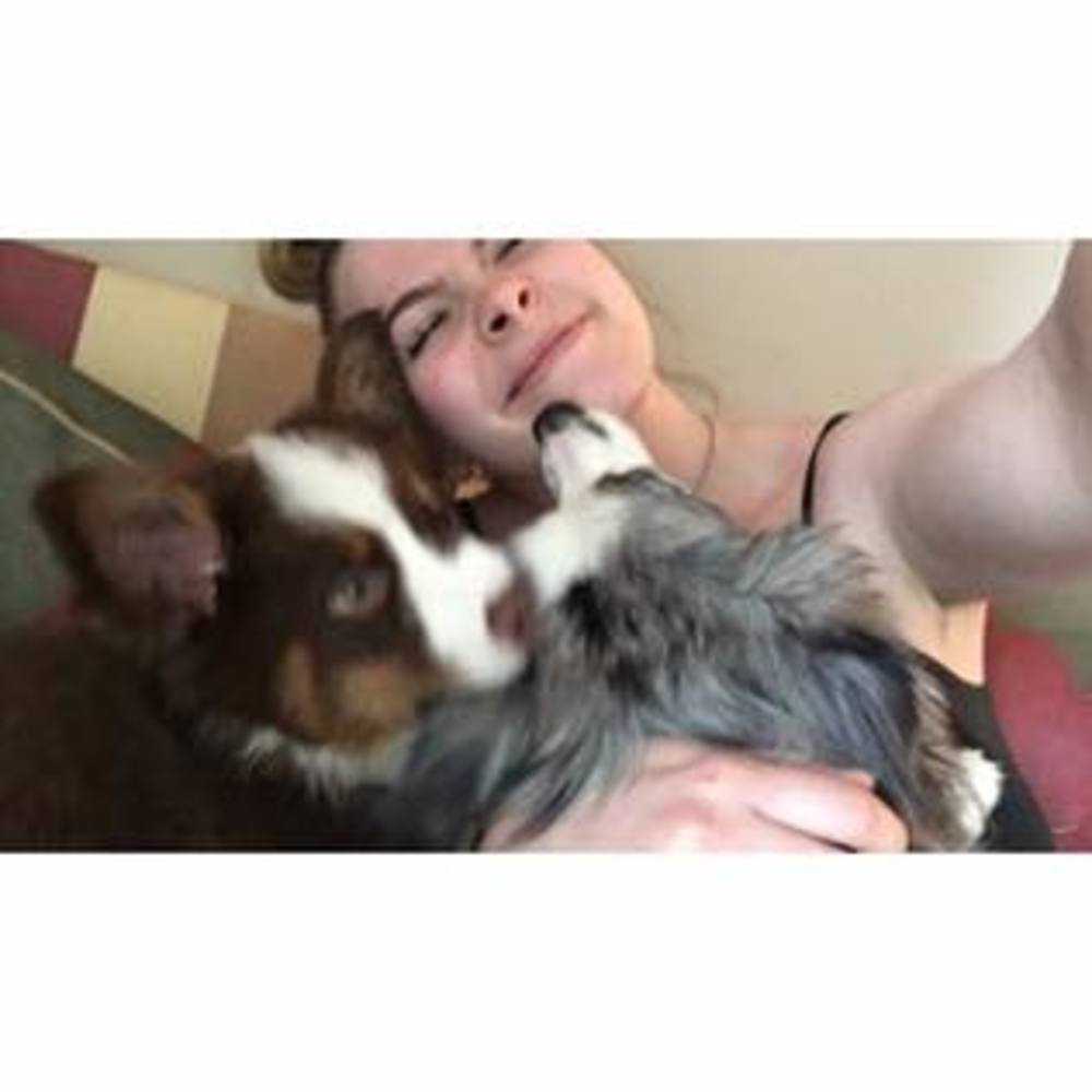 Meet your Posher, Sierra