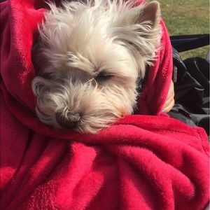 Meet your Posher, Karin