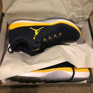 Air Jordan Trainer low 1's