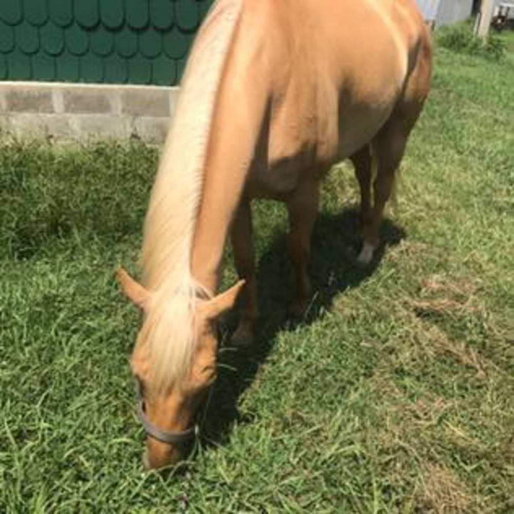 Meet your Posher, Amy