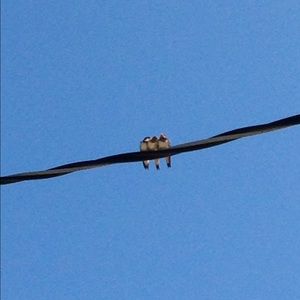 Meet your Posher, Jay