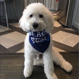 Meet your Posher, Nancy