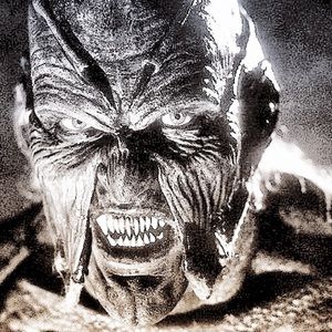 Meet your Posher, Paul