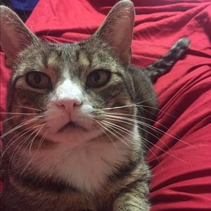 Meet your Posher, Heather