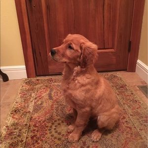 Meet your Posher, Chance