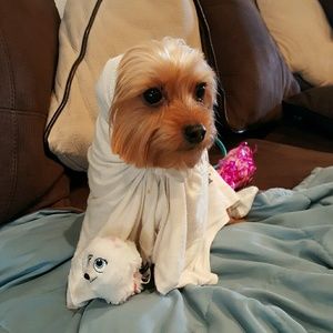 Meet your Posher, Vi