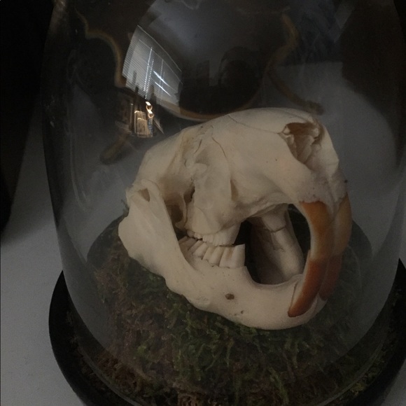 Meet your Posher, Marc - Picture 1 of 1