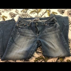Maurice's 18 X-short jeans