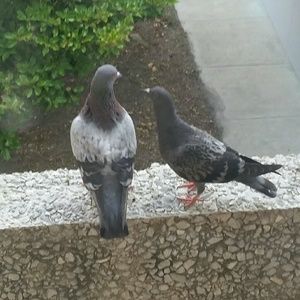 Meet your Posher, Mary