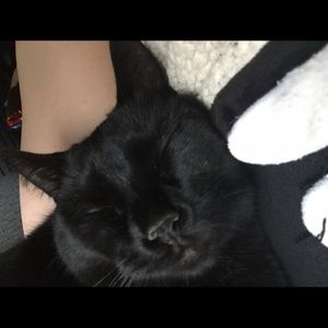 Meet your Posher, Teresa