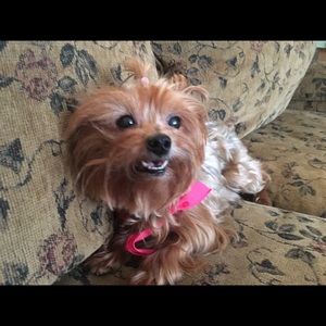 Meet your Posher, Reid