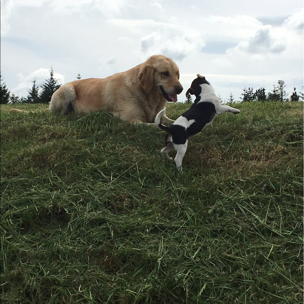 Meet your Posher, Margaret