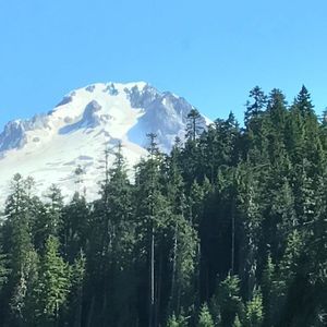 Meet your Posher, Pat