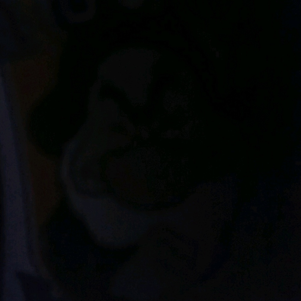 Meet your Posher, Bernice