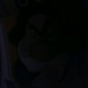 Meet your Posher, Bernice