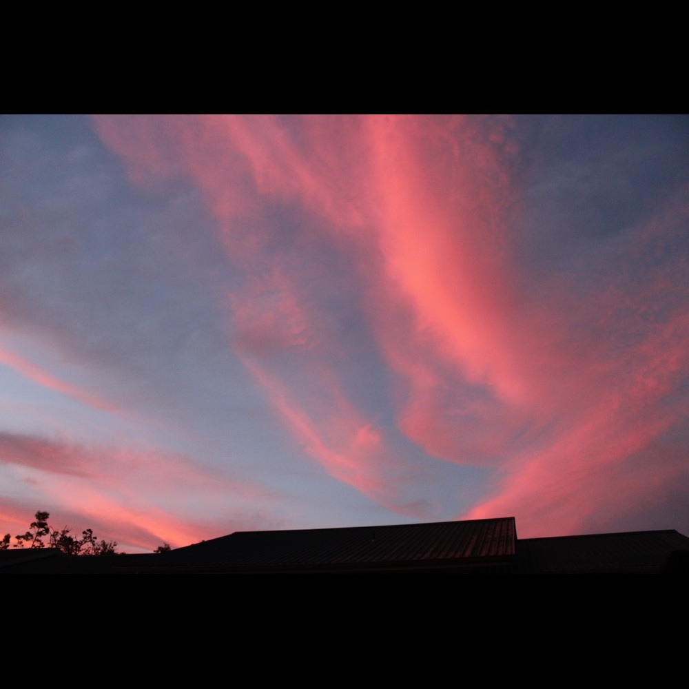 Please go follow my new account! @jessisoh