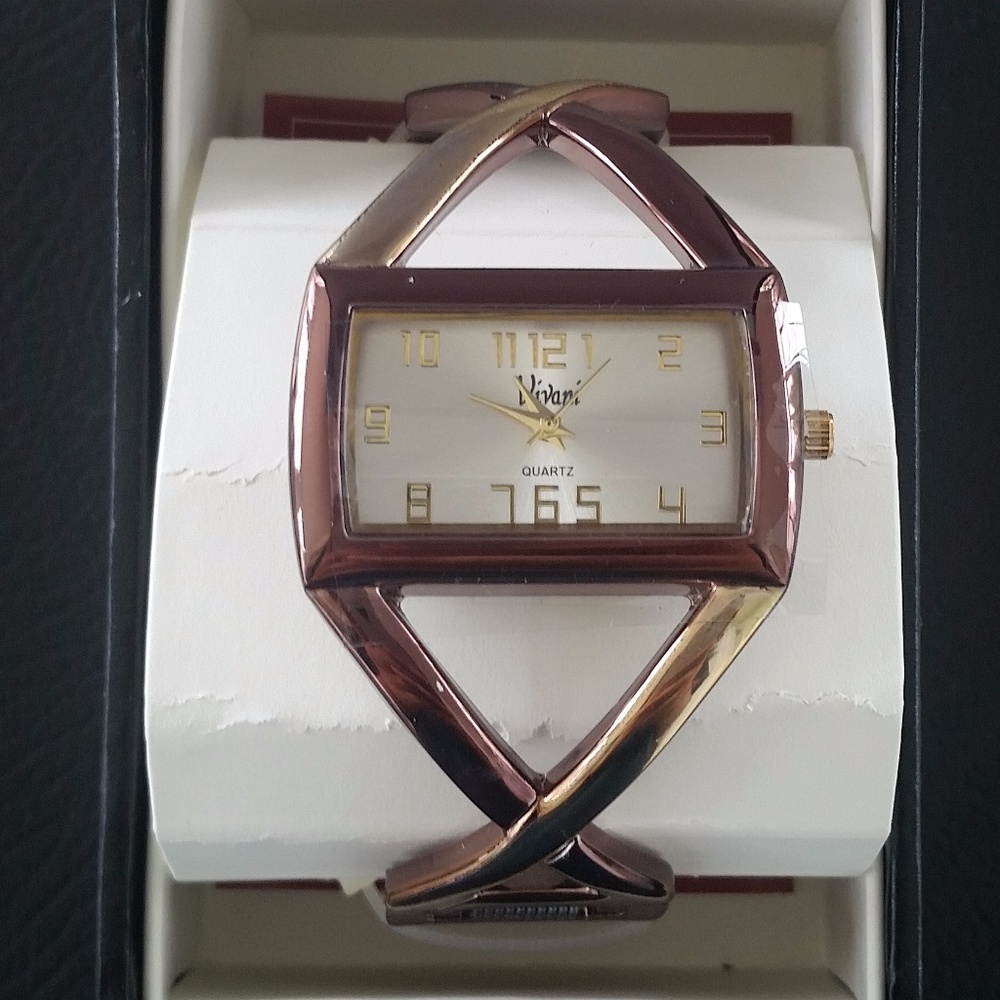 Dual Chrome Colored Vivani Bangle Watch