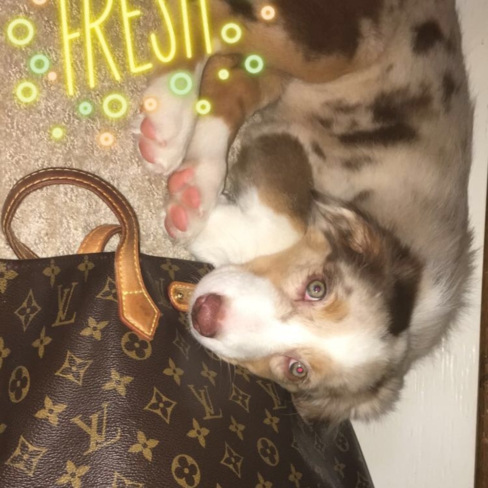 Meet your Posher, Emily