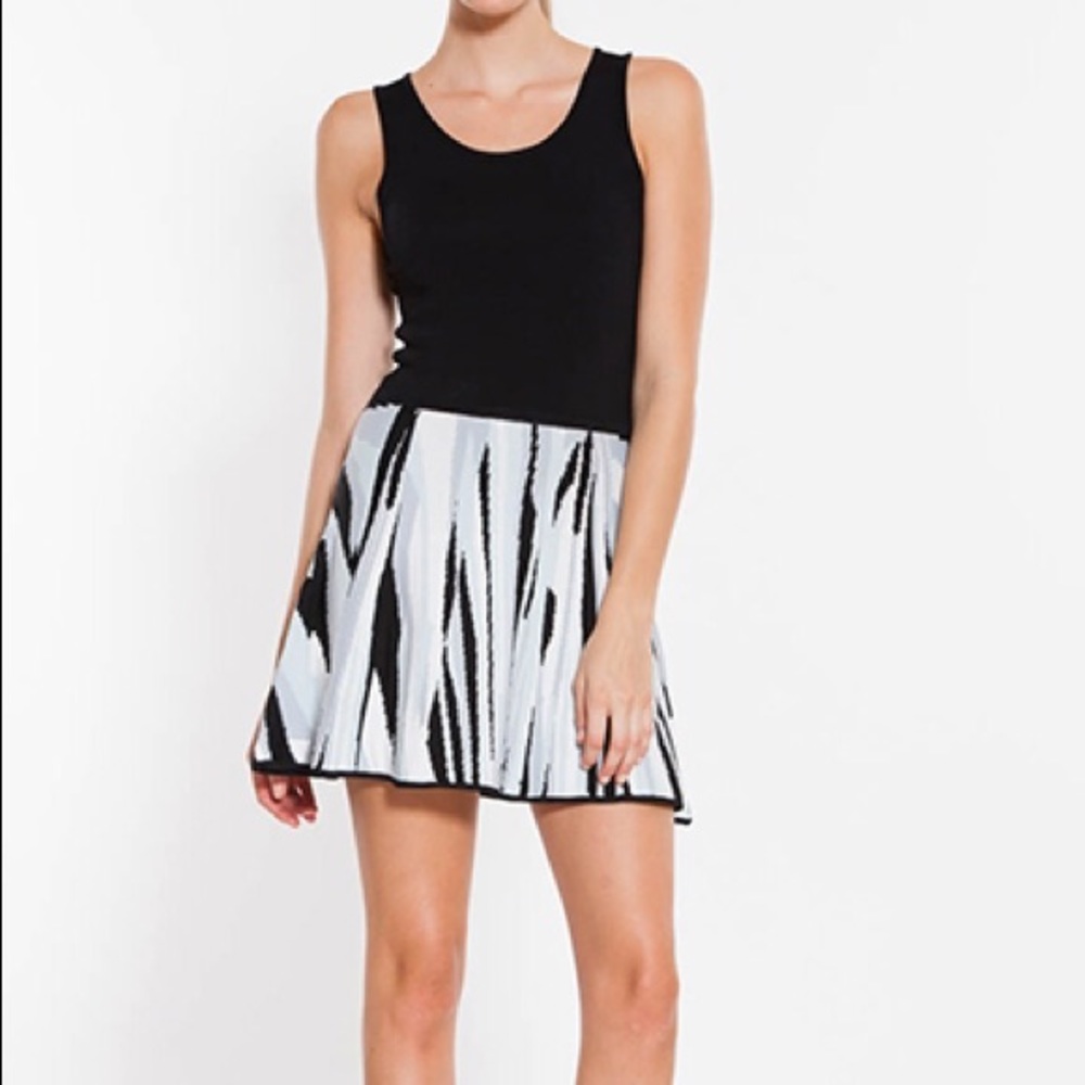 Parker Argentina knit dress