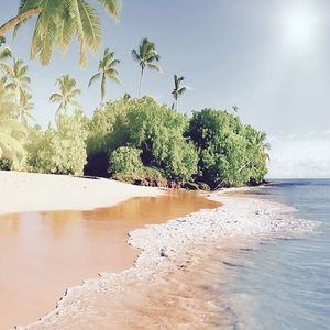 Meet your Posher, Truc