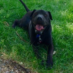 Meet your Posher, Mia