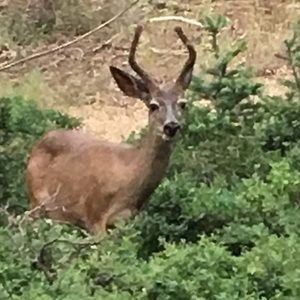 Meet your Posher, Jose