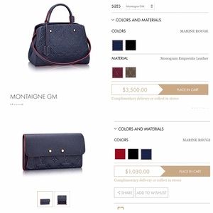 Louis Vuitton Purse & Wallet