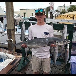 Meet your Posher, Eli