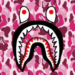 Meet your Posher, Kayden