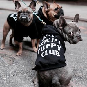 Meet your Posher, Henry