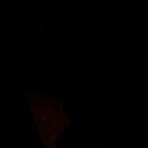 Meet your Posher, Joshua