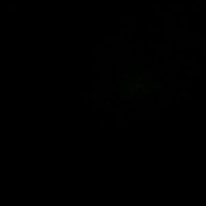 Meet your Posher, Jayden