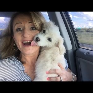 Meet your Posher, Donice