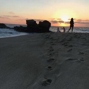 Meet your Posher, Patty