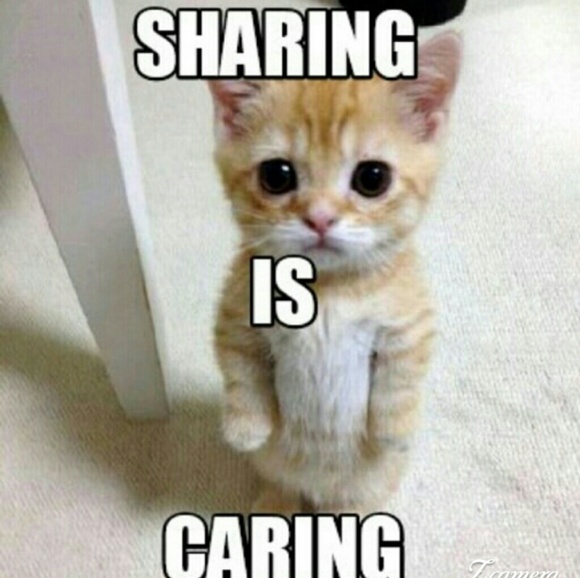 😺share😺 shoes