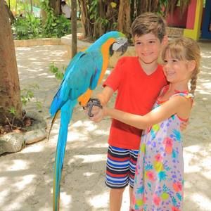 Meet your Posher, Janett