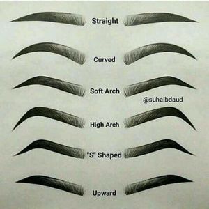 Meet your Posher, Rosa