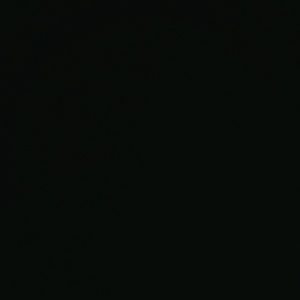 Meet your Posher, Steffon