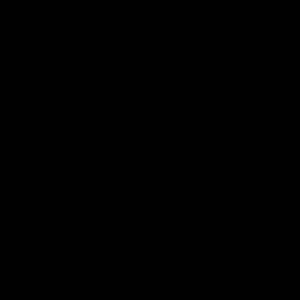 Meet your Posher, Angelina