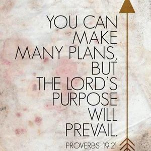 Meet your Posher, Olivier