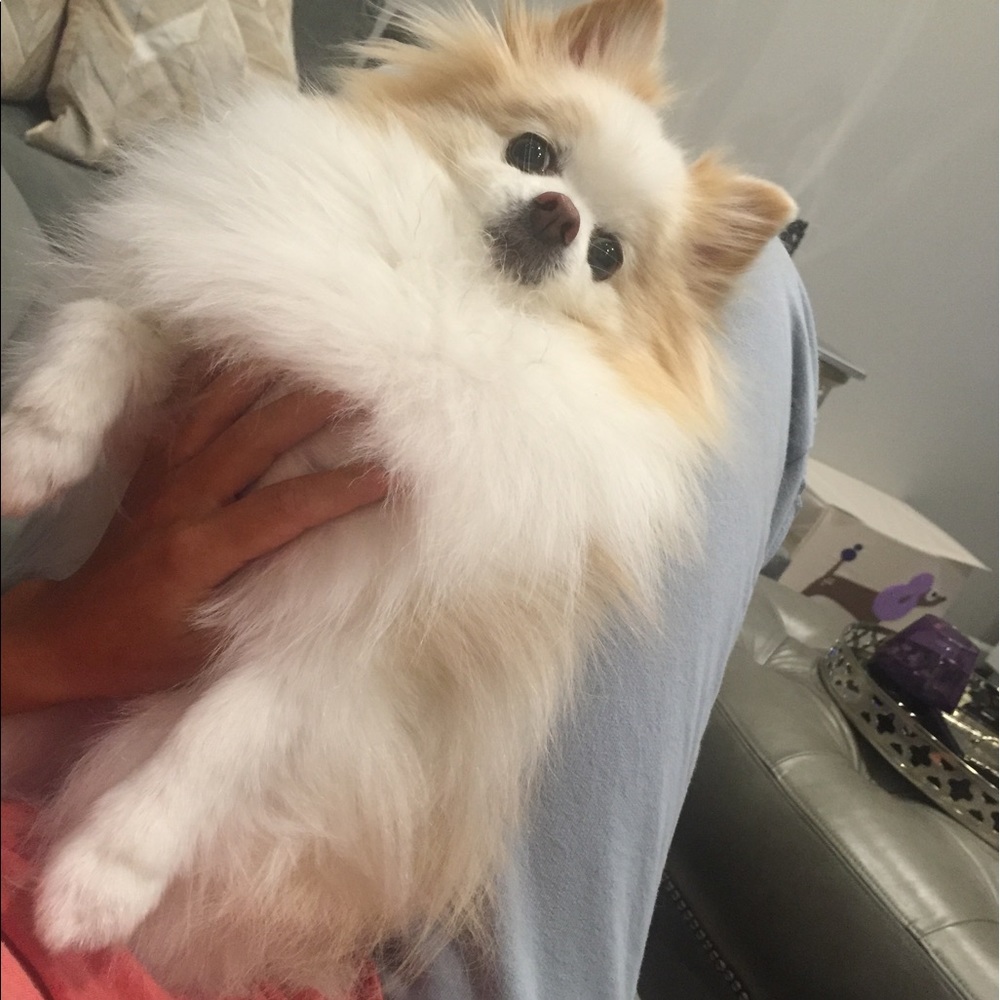 Meet your Posher, Erica