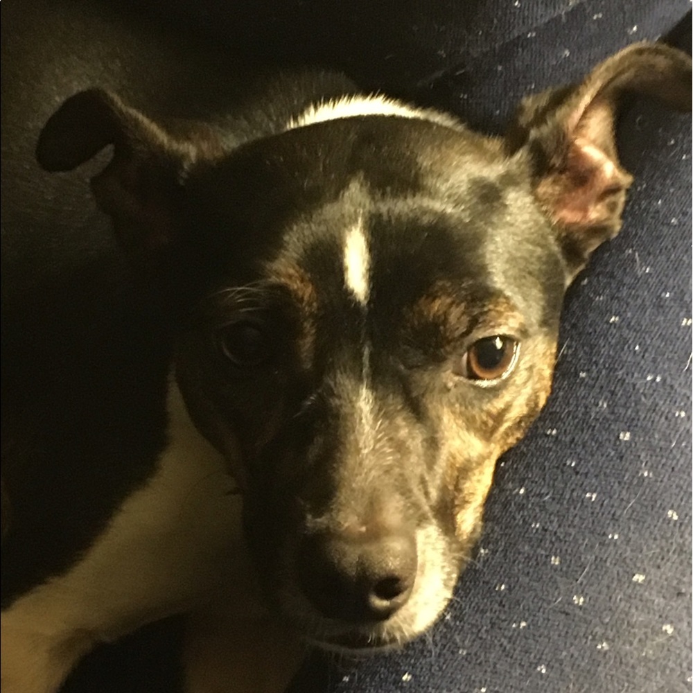 Meet your Posher, Wendy