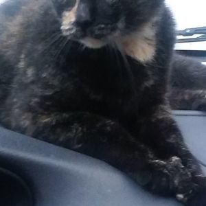 Meet your Posher, Julie